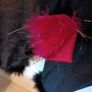 halloween  cat costume Image 9