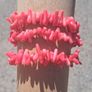 3 x Natural Blood Orange Coral Bracelets Image 4