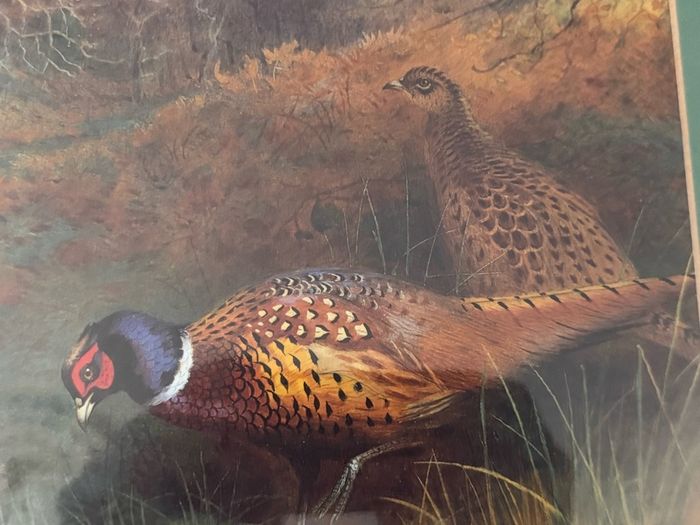 Framed Art Print - Pheasants in Autumn Woodland after Archibald Thorburn
