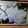 XLarge Painting Image 2