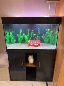 120l aquarium with stand