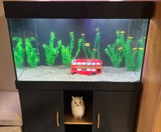 120l aquarium with stand