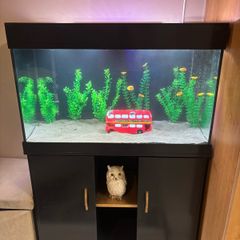 120l aquarium with stand