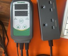 INKBIRD ITC-308 WiFi Temperature Controller Hearing Cooling