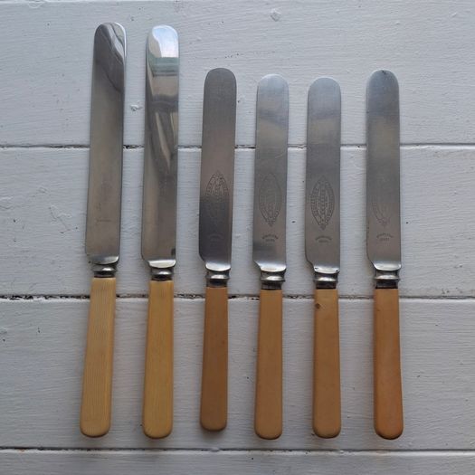 Vintage Faux Bone Handle Butter Knives
