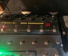 midi mongoose pedal