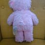 Build a Bear Teddies Image 2