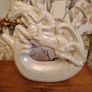 Vintage Lusterware Ceramic Drinks Decanter Image 2