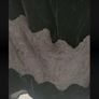 skirt Bnwt velvet skirt Aline size 38 10/12 Image 10