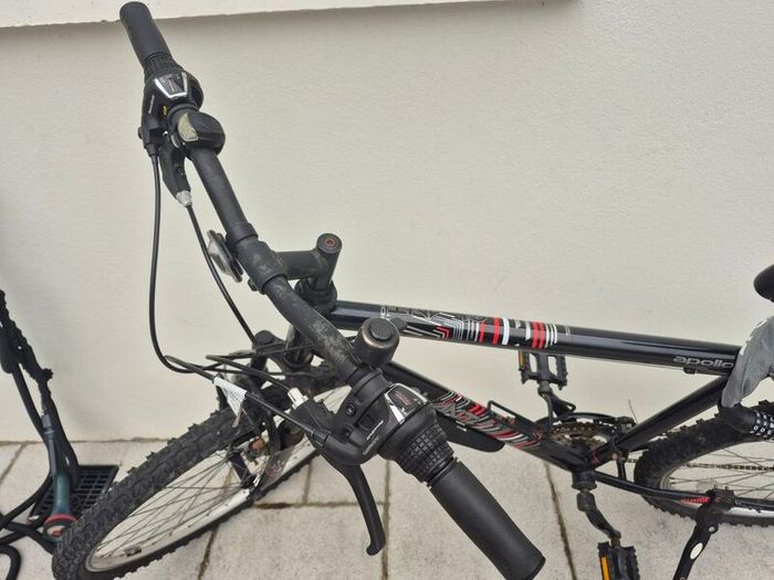 2 adult bikes