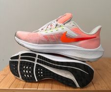 Nike Pegasus 39