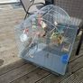 bird cage Image 2