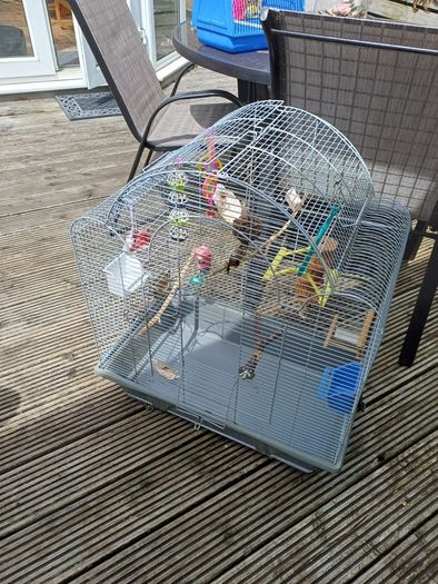 bird cage