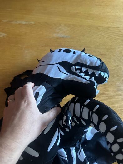 Dinosaur Kids Costume