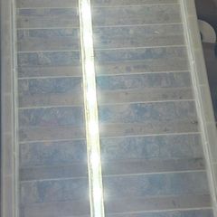 led lights aquel