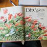 Birds Of The World. By Oliver L. Austin Jr. Illustrated By Arthur Singer. Forwarded By Sir Peter Scott. 1968 Large Volume Hardback With Dustjacket In Good Condition. Image 4
