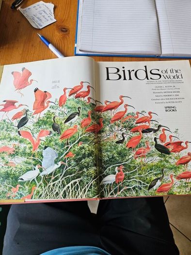 Birds Of The World. By Oliver L. Austin Jr. Illustrated By Arthur Singer. Forwarded By Sir Peter Scott. 1968 Large Volume Hardback With Dustjacket In Good Condition.