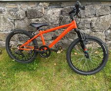 20" EX Rockrider PL500