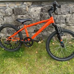 20" EX Rockrider PL500