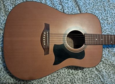 Tanglewood TW28SN Acoustic Guitar