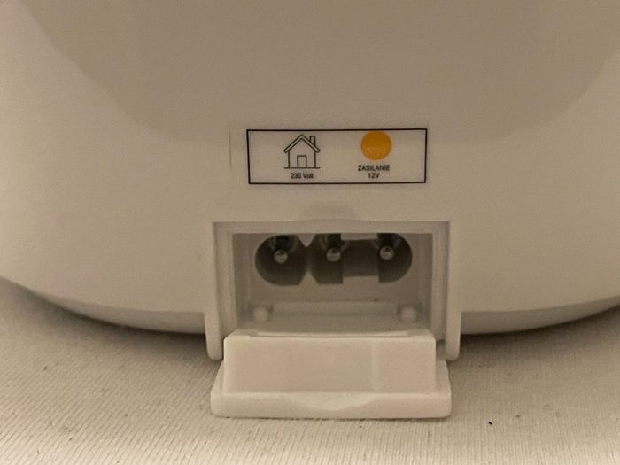 electricLunch