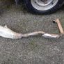 motorcycle parts Image 3