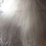 Wedding Dress Size 12 BNWT and Veil Image 5