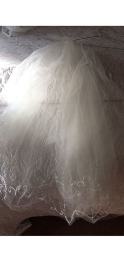 Wedding Dress Size 12 BNWT and Veil