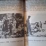 Holocaust / Israel Pocket library / 1974 Image 8