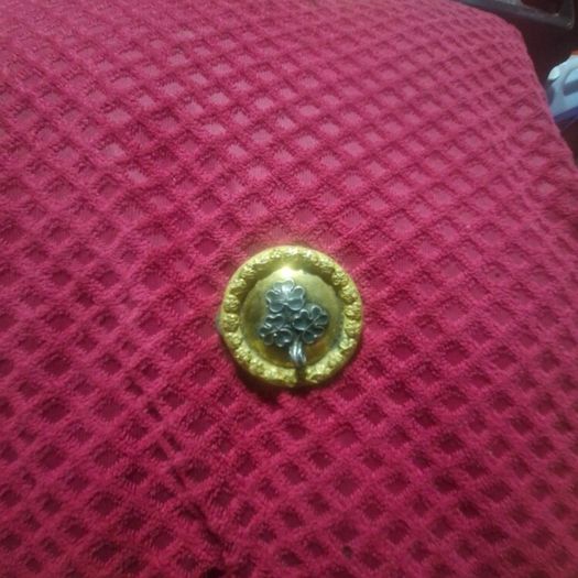 vintage collector pin