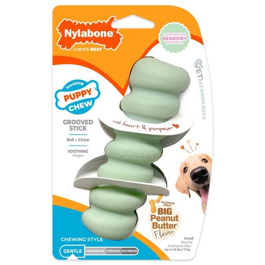 Nylabone teething puppy chew