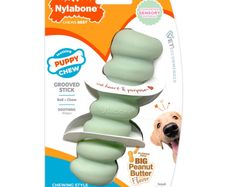 Nylabone teething puppy chew
