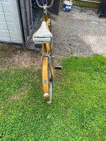 Raleigh triumph 20 (1968-1980s)