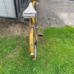 Raleigh triumph 20 (1968-1980s)