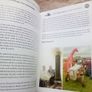 Two Journals: Irish Vintage Association (postage included) Image 3