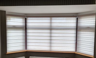 Day and night blinds
