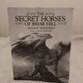 The secret horses of Briar Hill by Megan Shepherd Image 2