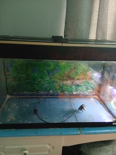 Fish tank