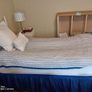 bed Image 2