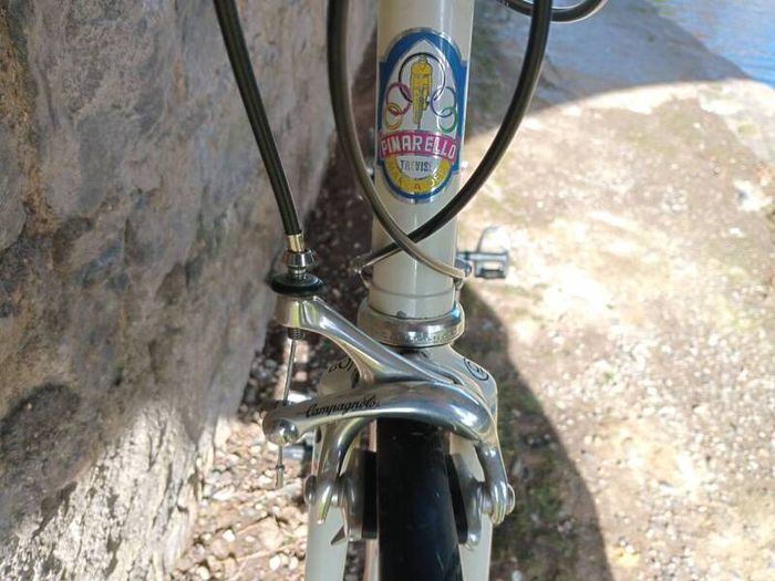 Pinarello Treviso 56cm Campagnolo Record 10 sp