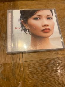 Bic Runga Beautiful Collision