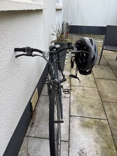 Adult bike