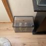 fish Image 5