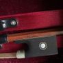 Violin Image 8
