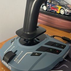 flight sim