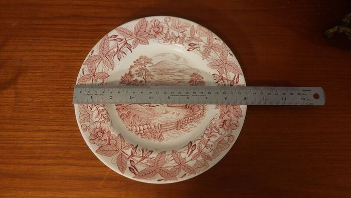 Fabulous Vintage Arklow Pottery Pink and White 9 Inch Wall Plate in an Classic Style Country Landscape Scene with a border of Hedgerow Plants
