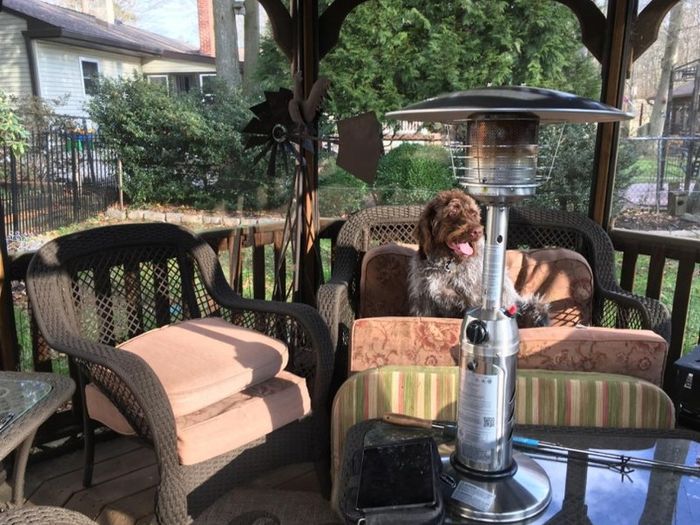 Table Top Indoor and Outdoor Gas Patio Heater