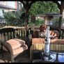 Table Top Indoor and Outdoor Gas Patio Heater Image 9