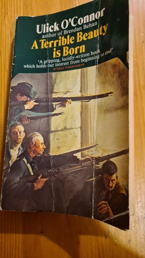 A Terrible Beauty Is Born. By Ulick O Connor. Paperback In Good Condition.