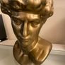 Bust Image 2